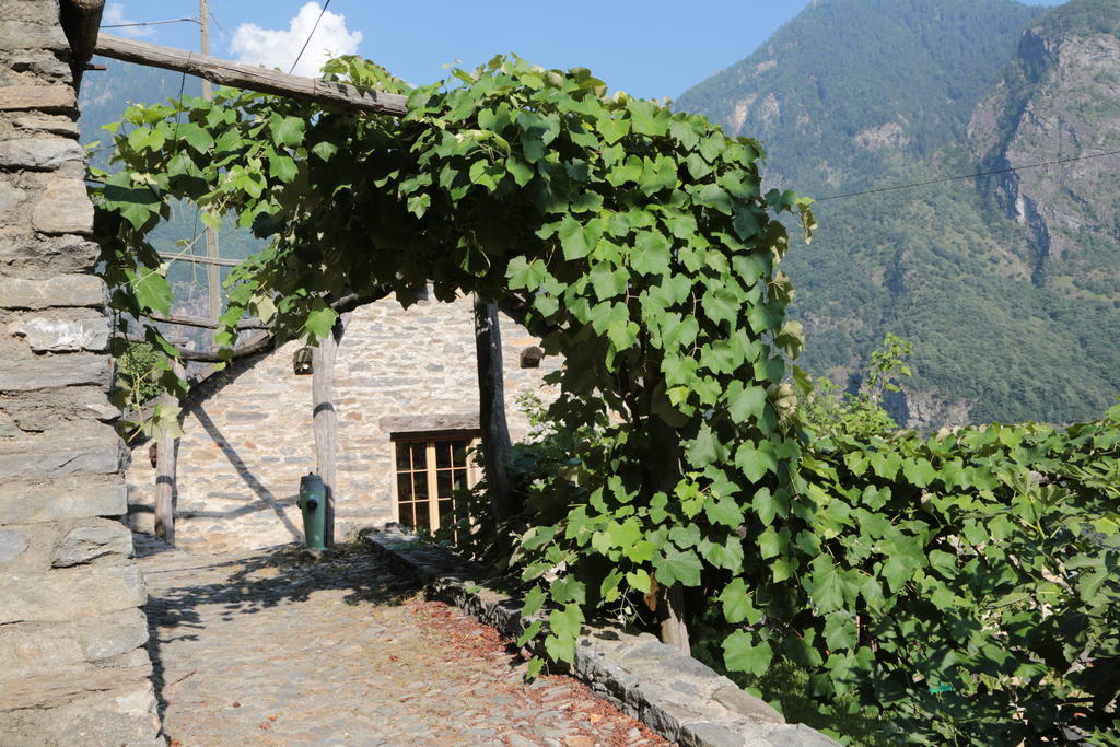 Ferienwohnung Rustico Verdabbio Exterior foto
